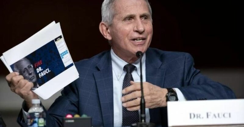 Fauci Thinks the United States Is in a Transition Phase of the Pandemic