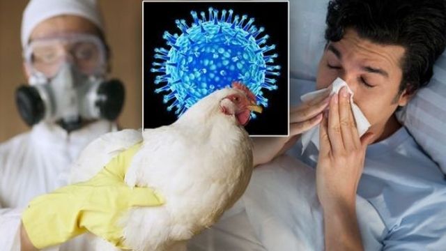 In the First Human Instance of Avian Flu in the United States, an Inmate Tests Positive 