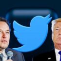 Elon Musk Has Reactivated Donald Trump's Twitter Account