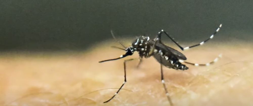 Alabama Reports 2 Cases of Rare EEE Mosquito-Borne Disease, 1 Fatality
