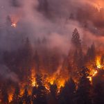 California’s Record Blaze: The York Fire Emerges as Largest Wildfire of the Year