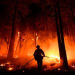 Hawaii Wildfire Crisis: Death Toll Climbs to 67, Firefighters Battle Uncontained Blaze