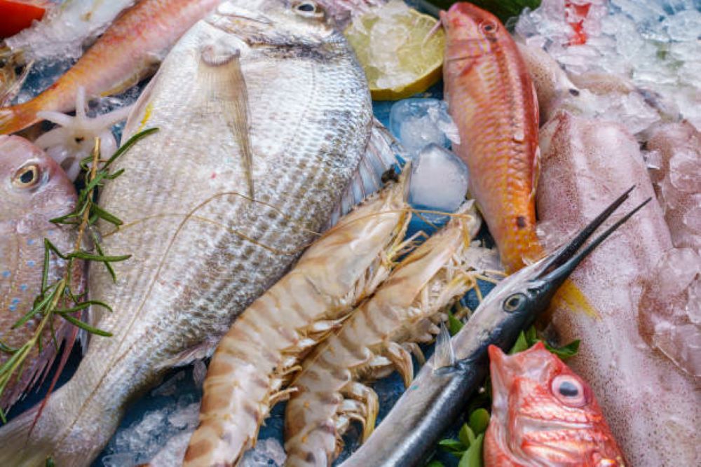 Russia Seeks to Expand Fish and Seafood Exports to China Following Japan’s Trade Restrictions