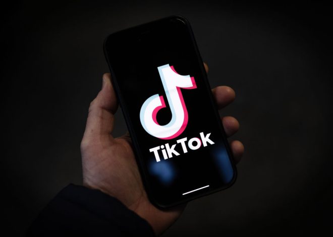 Unraveling the TikTok Tax Fraud Epidemic in a Quiet Country Town