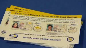 Florida: Will Your ID Meet the REAL ID Requirements for Domestic Flights in 2025?