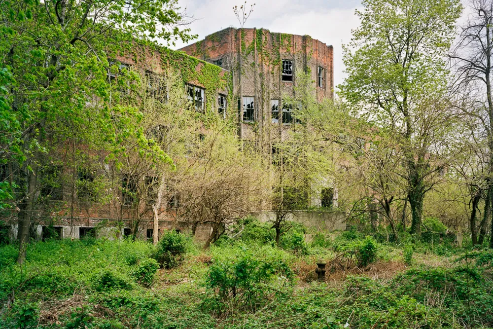 New York's Abandoned Island Full of Death, Disease, and Haunting Stories